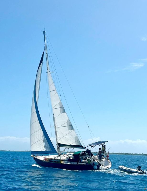 Bavaria 44 AC (46 feet) image