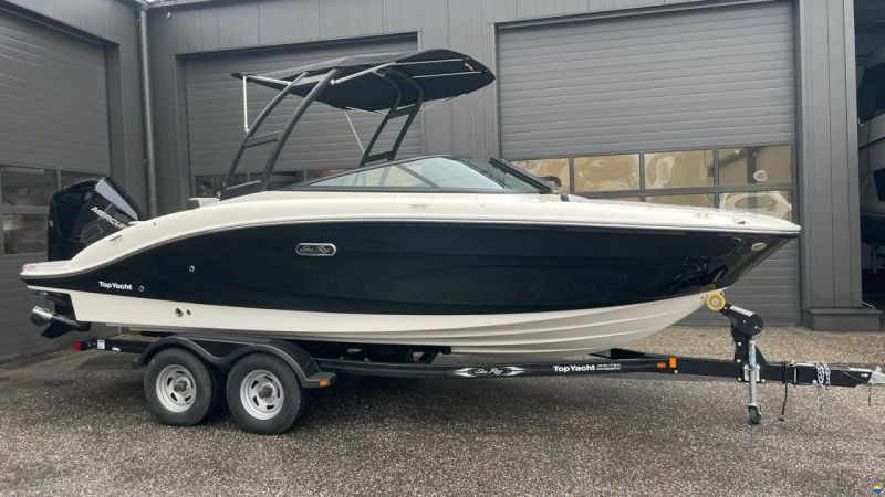Sea Ray SPX 210 Outboard