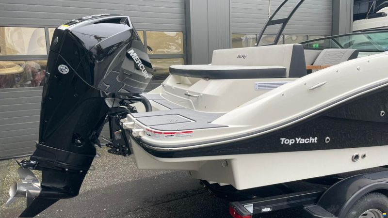 Sea Ray SPX 210 Outboard
