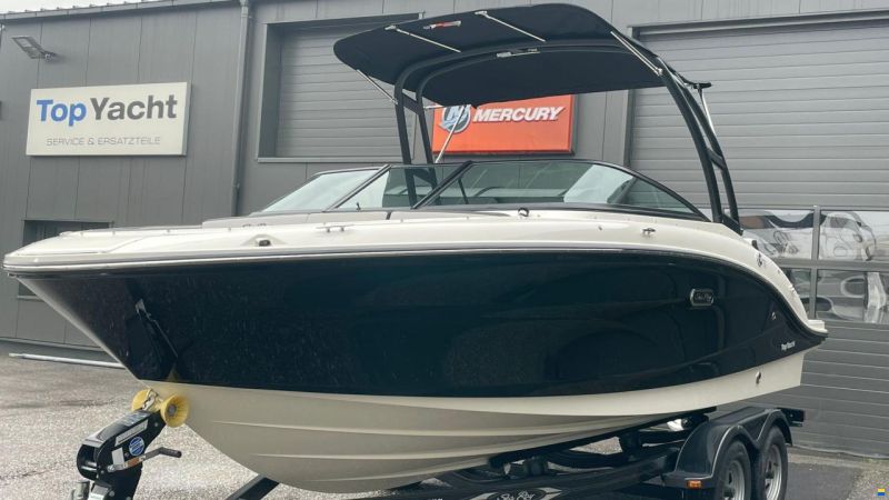 Sea Ray SPX 210 Outboard