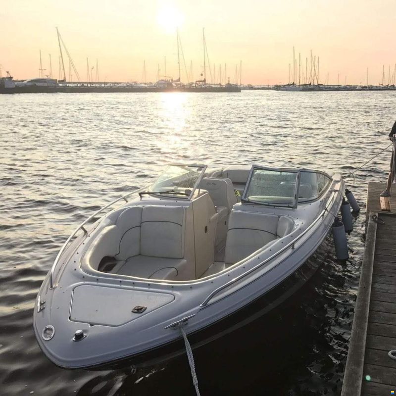 Sea Ray 230