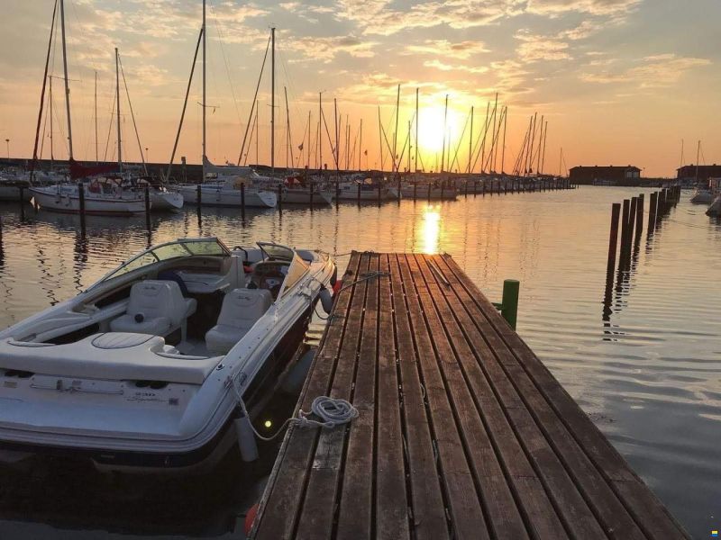Sea Ray 230