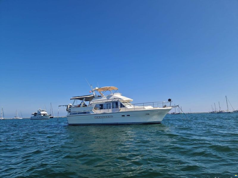 Trader 47 Flybridge Cruising Motor Yacht or Li