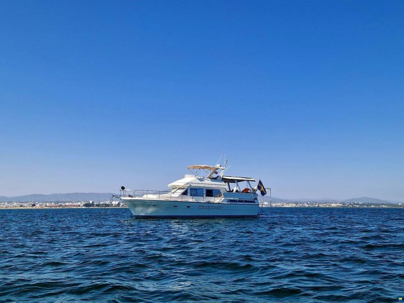Trader 47 Flybridge Cruising Motor Yacht or Li