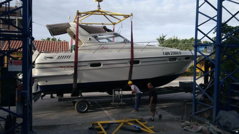 Sealine 365