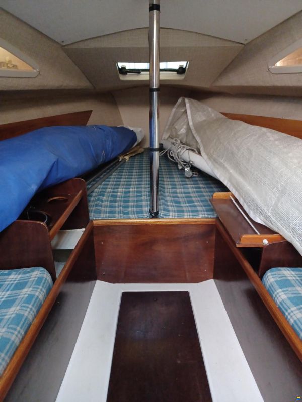 Archambault Surprise