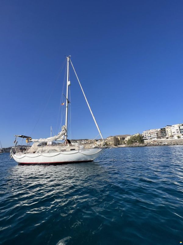 Bianca 27 image