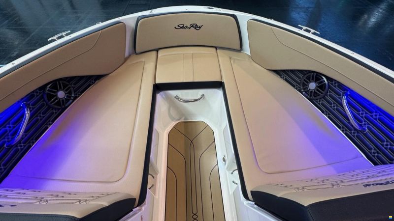 Sea Ray SPXE 190 & Trailer