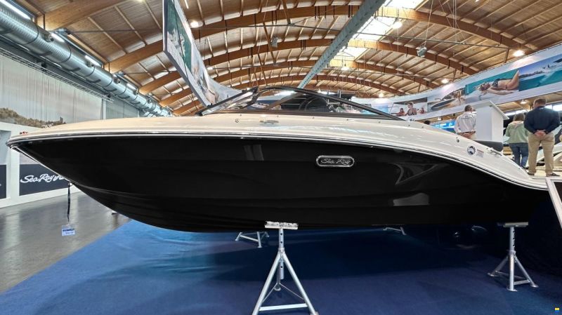 Sea Ray SPXE 190 & Trailer