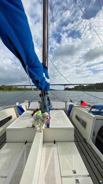 Wharram 42 Narai x Tiki
