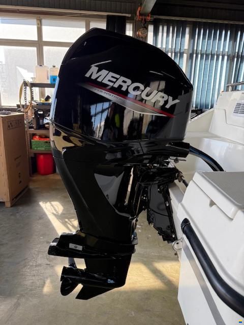 Quicksilver 455 Open/Mercury 60