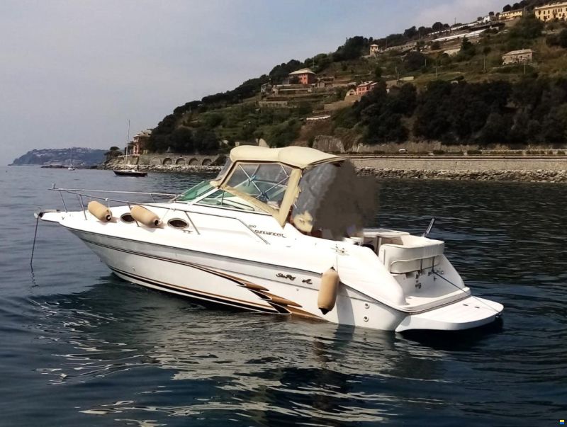 Sea Ray 250 sundancer