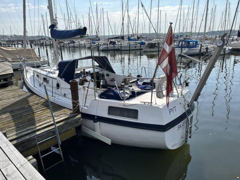 Compass 31