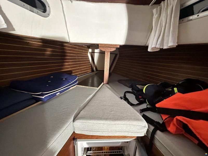 Compass 31