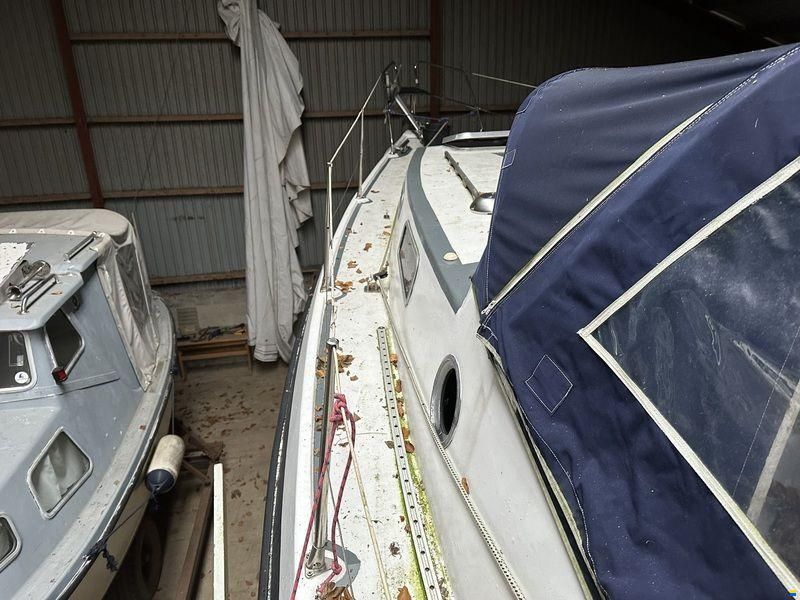 Compass 31