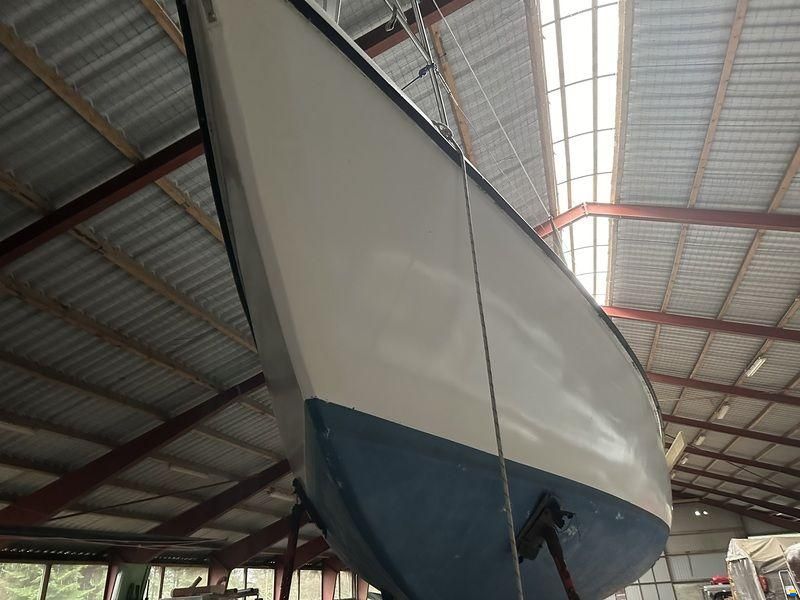 Compass 31