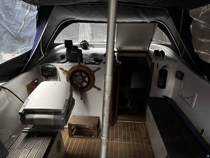 Compass 31