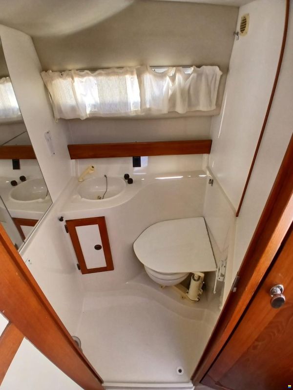 Marex 290 Sun Cruiser