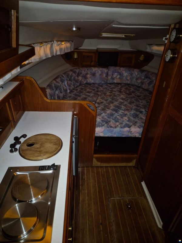 Marex 290 Sun Cruiser