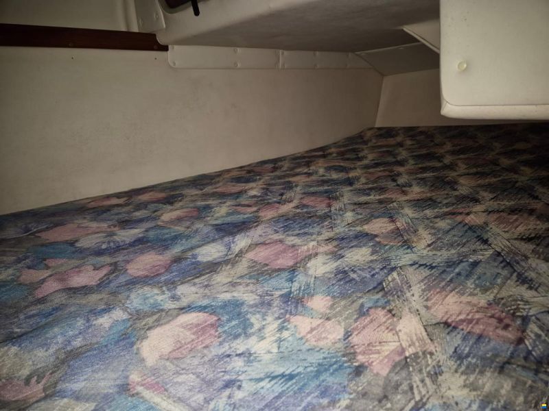 Marex 290 Sun Cruiser