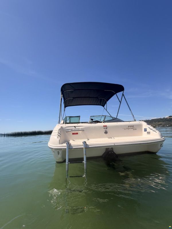 Sea Ray 200 OV Select