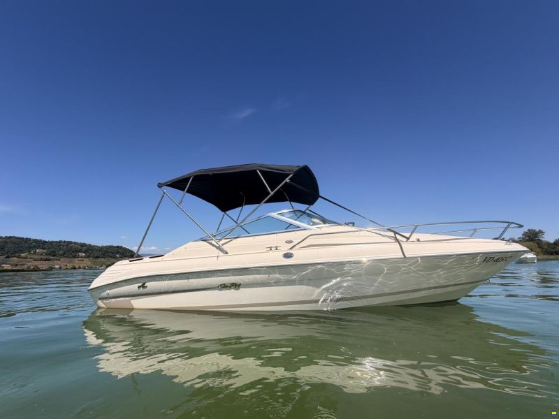 Sea Ray 200 OV Select