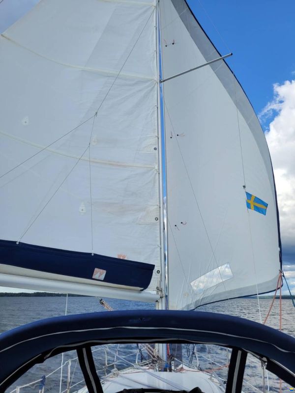 Imexus 28 Powersailer