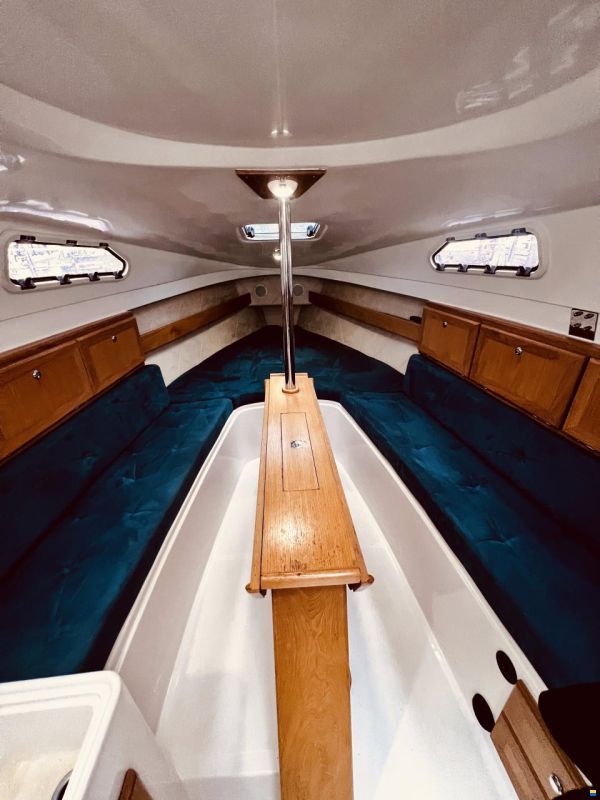 Imexus 28 Powersailer