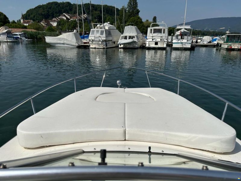 Sea Ray 260 Sundancer