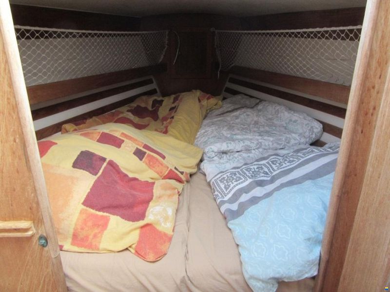 Comfortina Cayenne 42