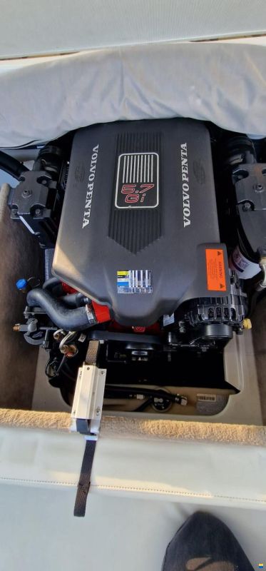 Stingray 230 SX