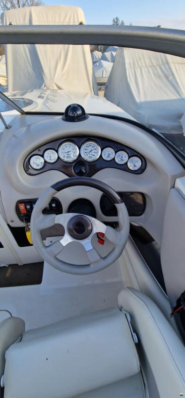 Stingray 230 SX