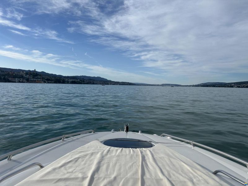 Crownline 266 SC