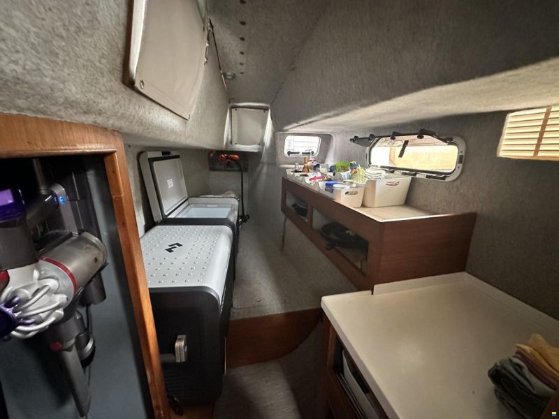Prout Snowgoose 37