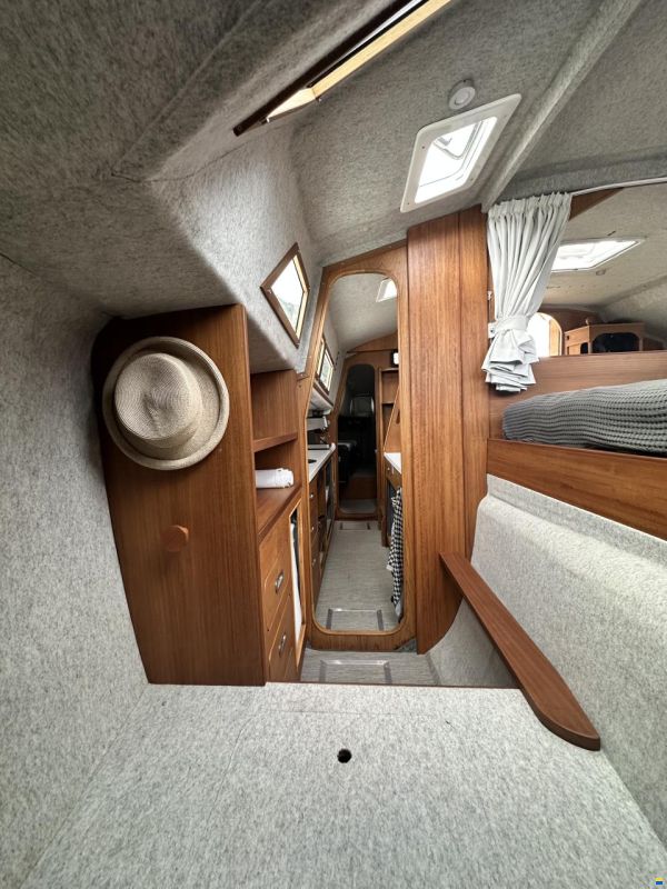 Prout Snowgoose 37