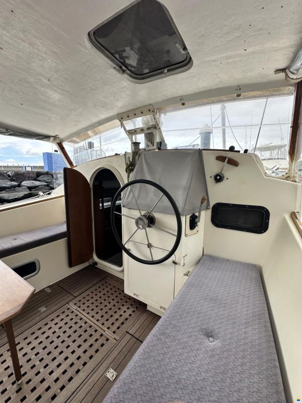 Prout Snowgoose 37