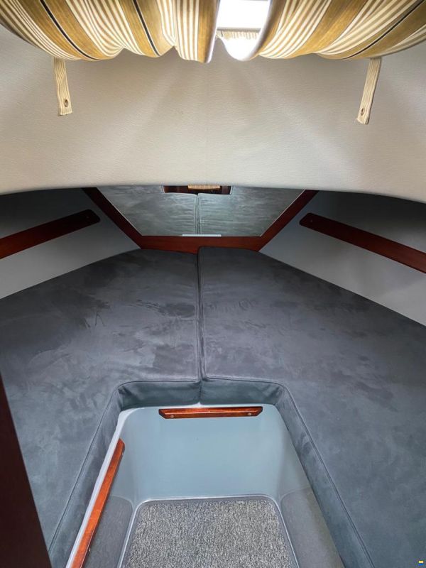 Nord Star 28