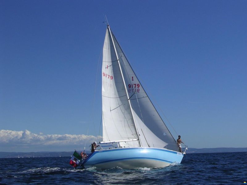 Dullia 36 image