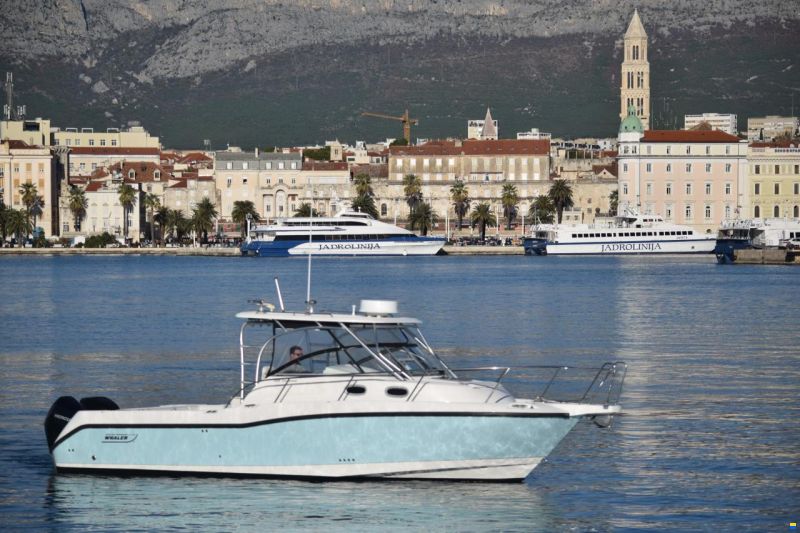 Boston Whaler 305 Conquest