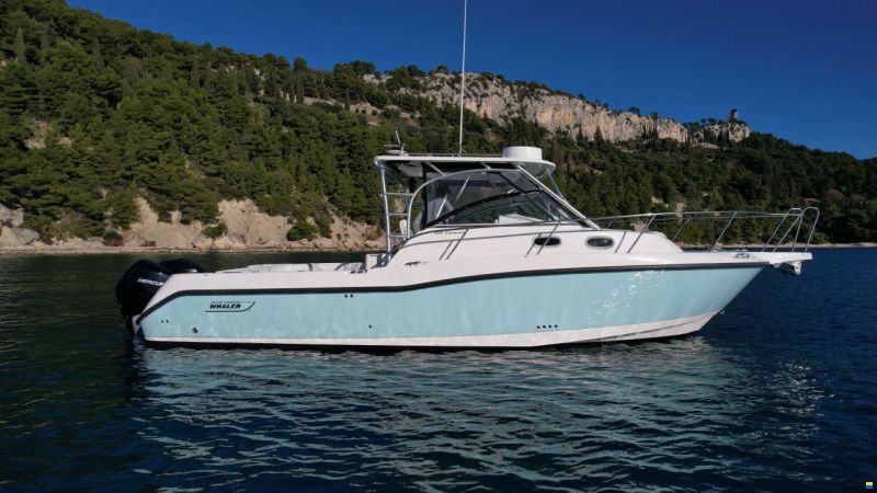 Boston Whaler 305 Conquest