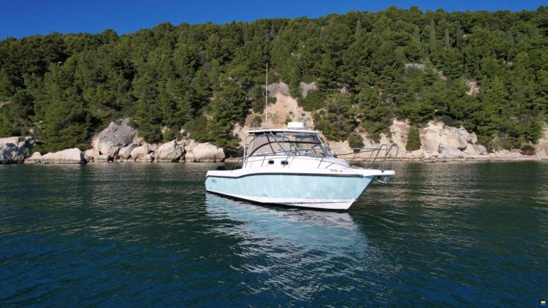 Boston Whaler 305 Conquest