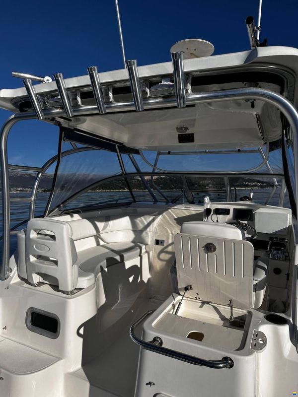 Boston Whaler 305 Conquest