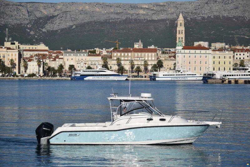 Boston Whaler 305 Conquest