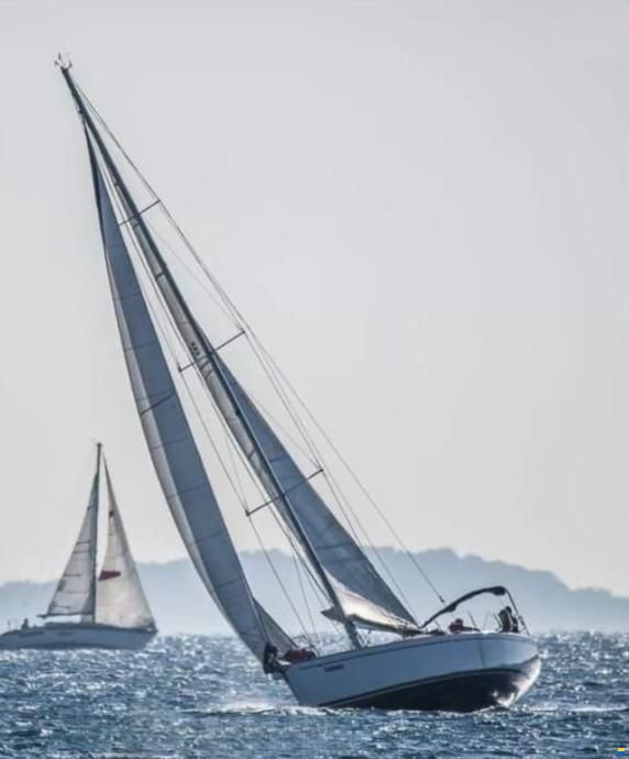 Salona 45