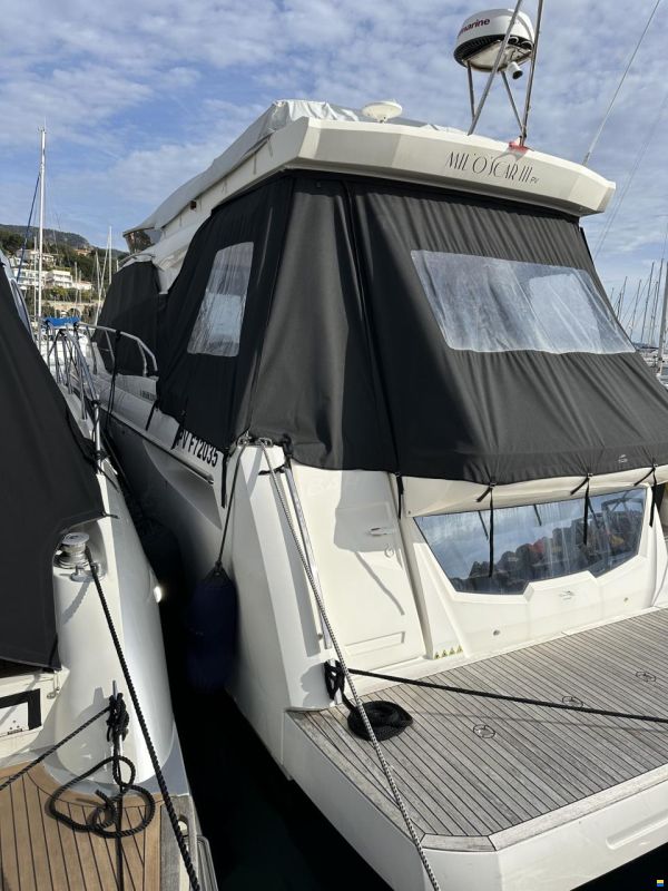 Absolute 45