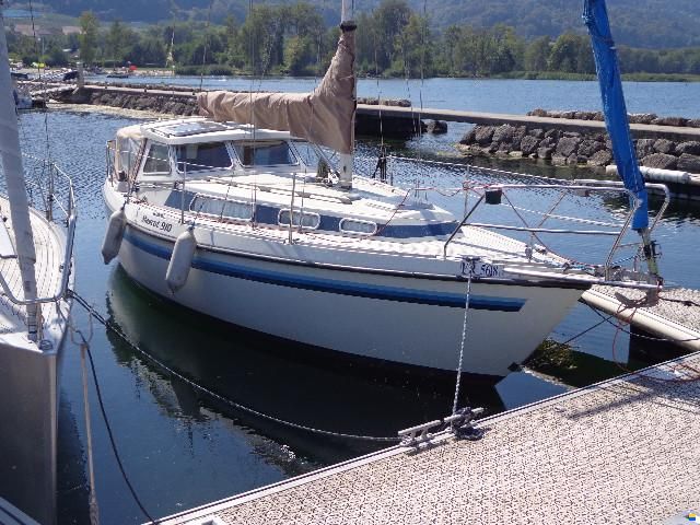 Mascot 910 (Hesten Boats, Gesten DK) image