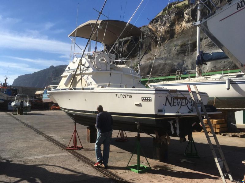 Bertram 28