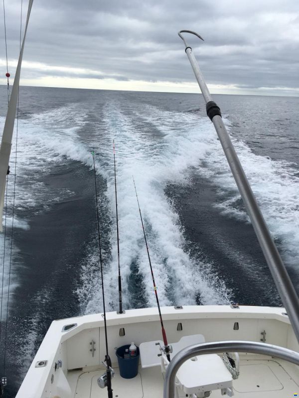Bertram 28