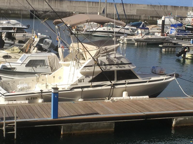 Bertram 28