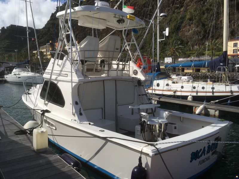 Bertram 28